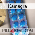 Kamagra viagra1